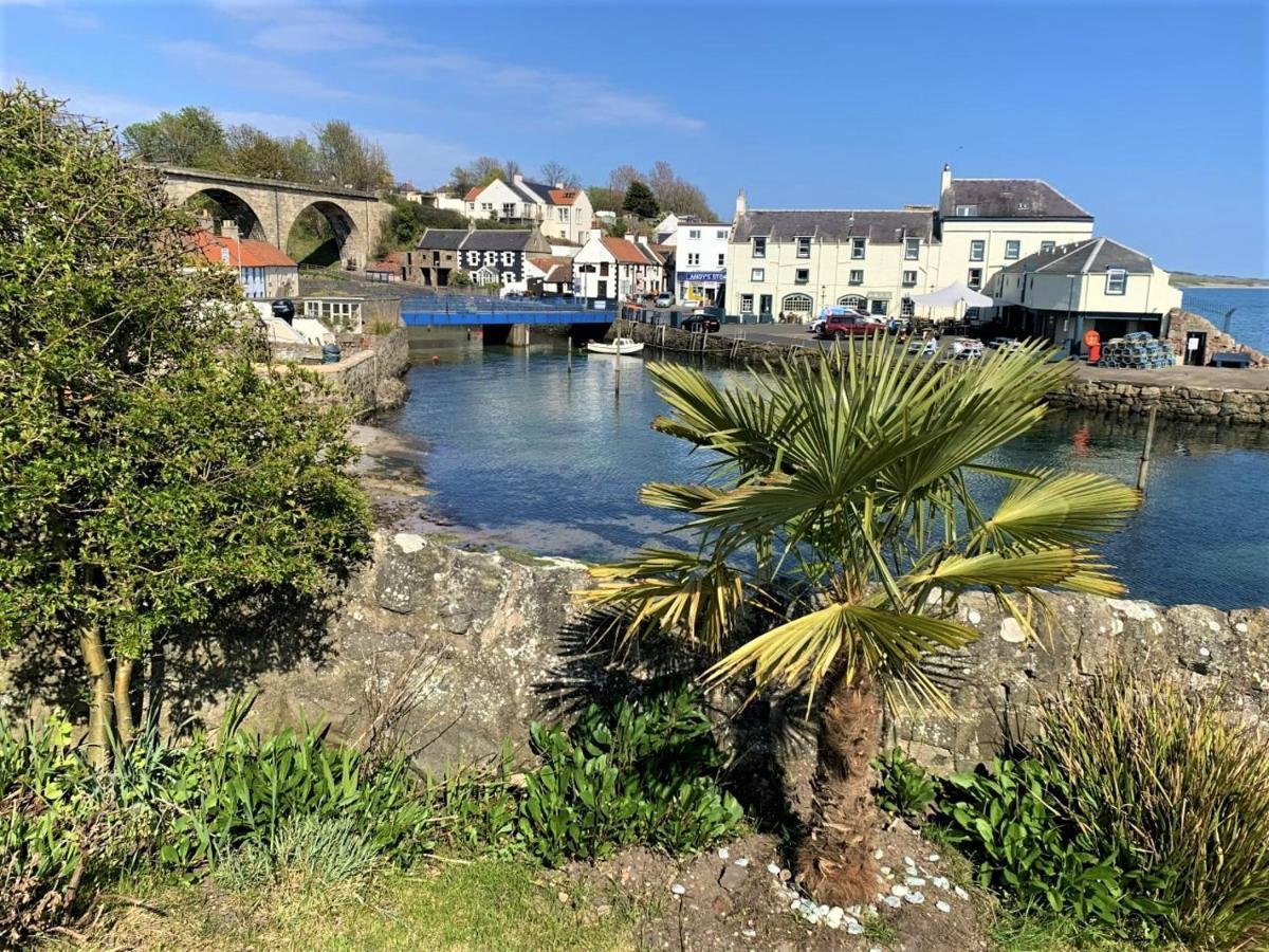 Villa The Wee Blue House, East Neuk Lower Largo Esterno foto